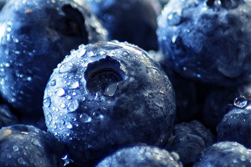 خواص چای بلوبری